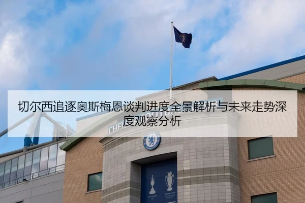 切尔西追逐奥斯梅恩谈判进度全景解析与未来走势深度观察分析
