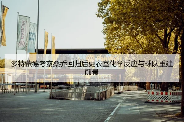 多特蒙德考察桑乔回归后更衣室化学反应与球队重建前景